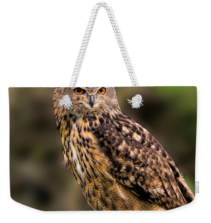 Birds Weekender Tote Bag featuring the photograph Eurasian Eagle Owl perched on a post by Les Palenik