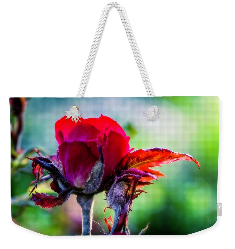 Flower Weekender Tote Bag featuring the photograph Fading Beauty #2 by Allin Sorenson