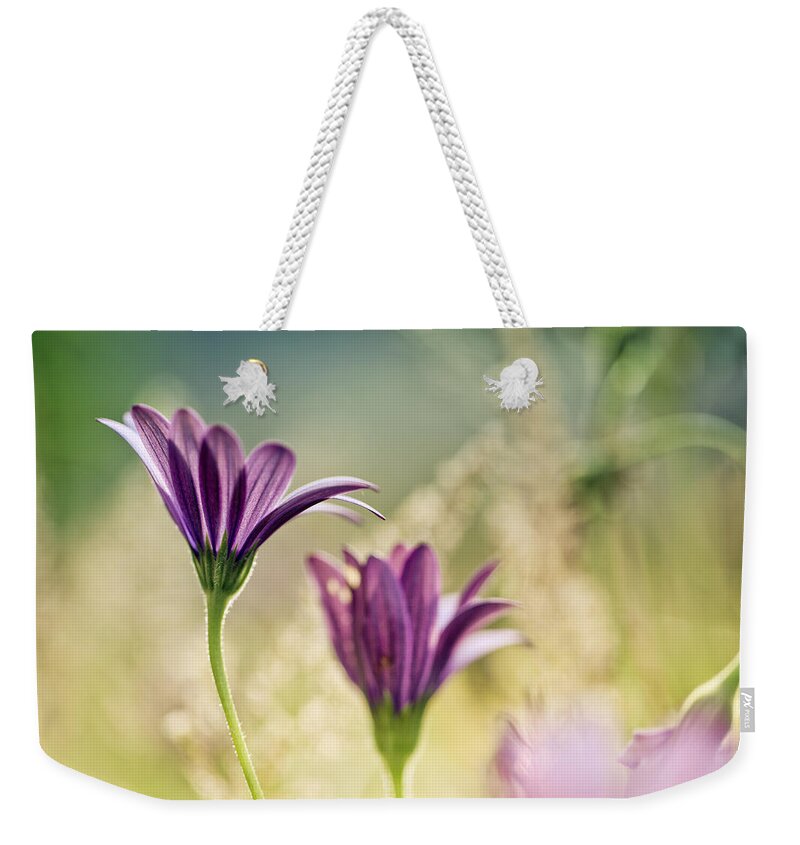 Flower Weekender Tote Bag featuring the photograph Flower on Summer Meadow by Nailia Schwarz