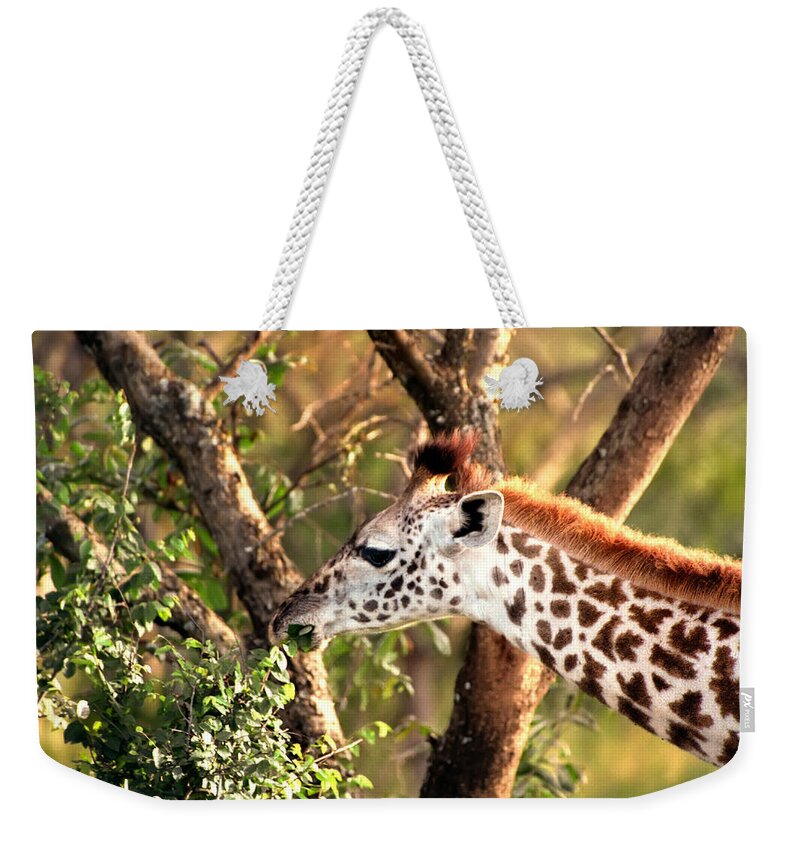 Giraffe Weekender Tote Bag featuring the photograph Giraffe #2 by Sebastian Musial