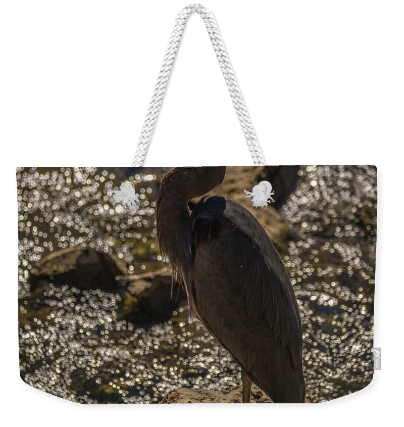 Ardea Herodias Weekender Tote Bag featuring the photograph Great Blue Heron #2 by Roger Monahan