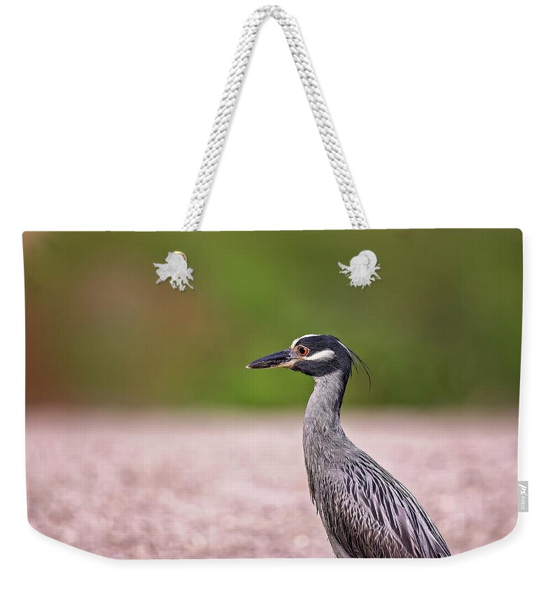 Animal Weekender Tote Bag featuring the photograph Green Heron by Peter Lakomy