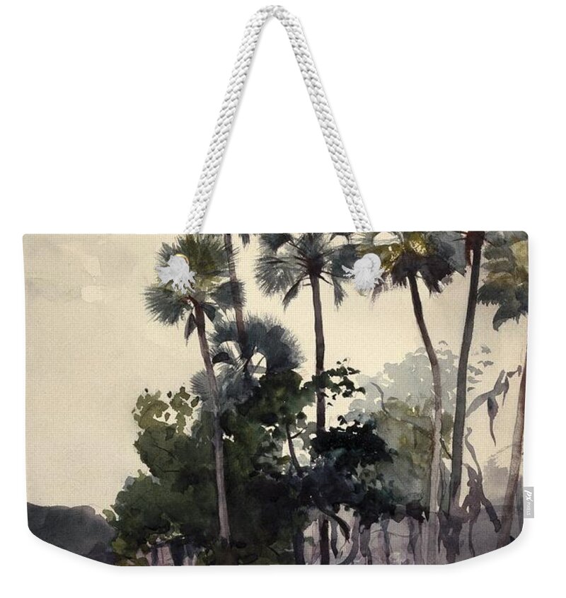 Winslow Homer (american Weekender Tote Bag featuring the painting Homosassa River #2 by Winslow Homer