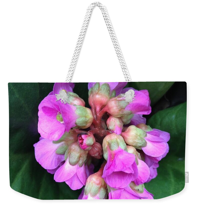 Flower Weekender Tote Bag featuring the photograph In Bloom #2 by Anne Thurston