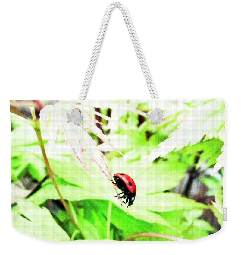 Ladybug Weekender Tote Bag featuring the photograph Ladybug #2 by Cesar Vieira