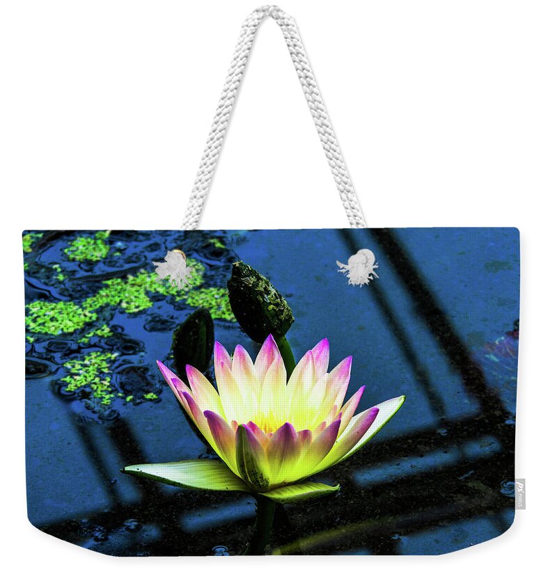 Lotus Weekender Tote Bag featuring the photograph Lotus #2 by Cesar Vieira