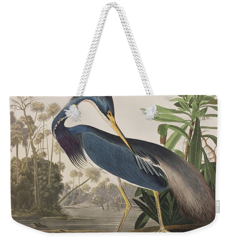 Louisiana Heron Weekender Tote Bag featuring the painting Louisiana Heron by John James Audubon