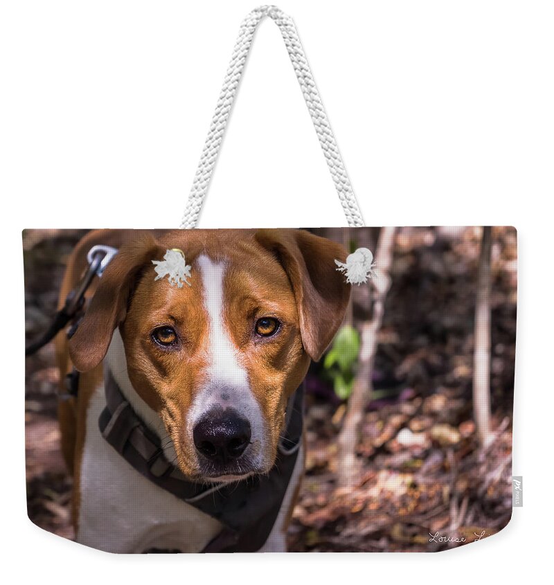 2017 Weekender Tote Bag featuring the photograph Mikey #2 by Louise Lindsay
