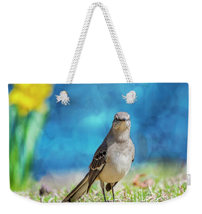 Avian Weekender Tote Bag featuring the photograph Mockingbird by Cathy Kovarik