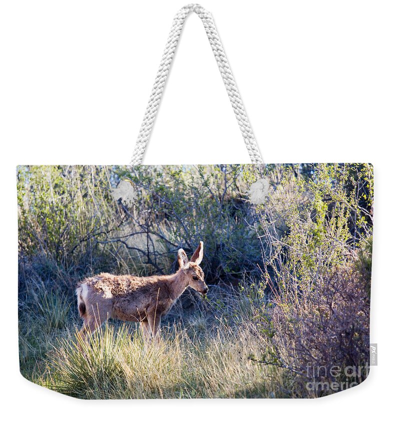 Deer Weekender Tote Bag featuring the photograph Mule Deer in Garden of the Gods #2 by Steven Krull