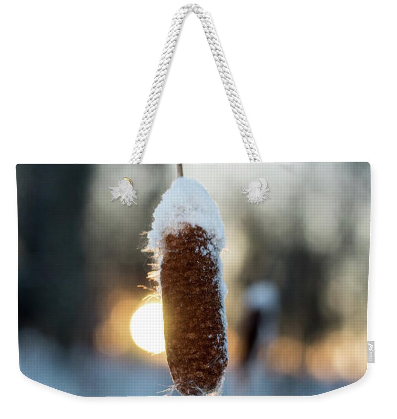  Weekender Tote Bag featuring the photograph Nature #2 by Eye of Canon Sergio Lara