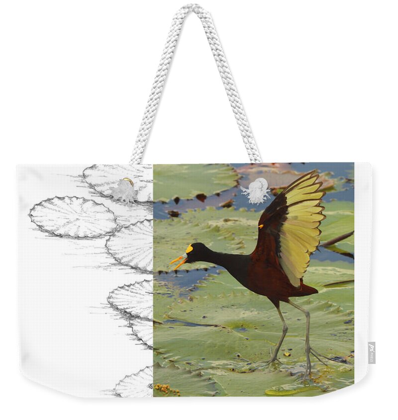 Northern Jacana Weekender Tote Bag featuring the photograph Northern Jacana #2 by Andrew McInnes