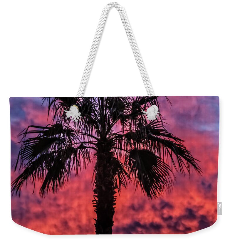 Sunrise Weekender Tote Bag featuring the photograph Palm Tree Silhouette #3 by Robert Bales