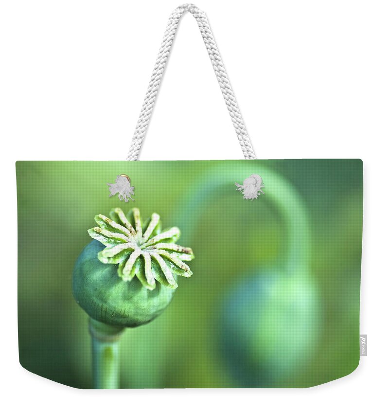 Poppy Weekender Tote Bag featuring the photograph Poppy seed capsule #2 by Heiko Koehrer-Wagner