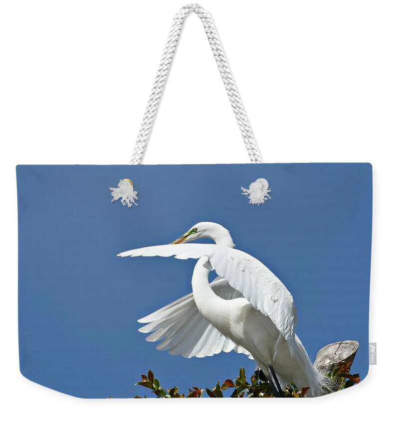Great Egret Weekender Tote Bag featuring the photograph Pre Flight #2 by Fraida Gutovich