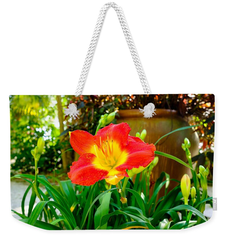 Beautiful Weekender Tote Bag featuring the photograph Pretty flower by Raul Rodriguez