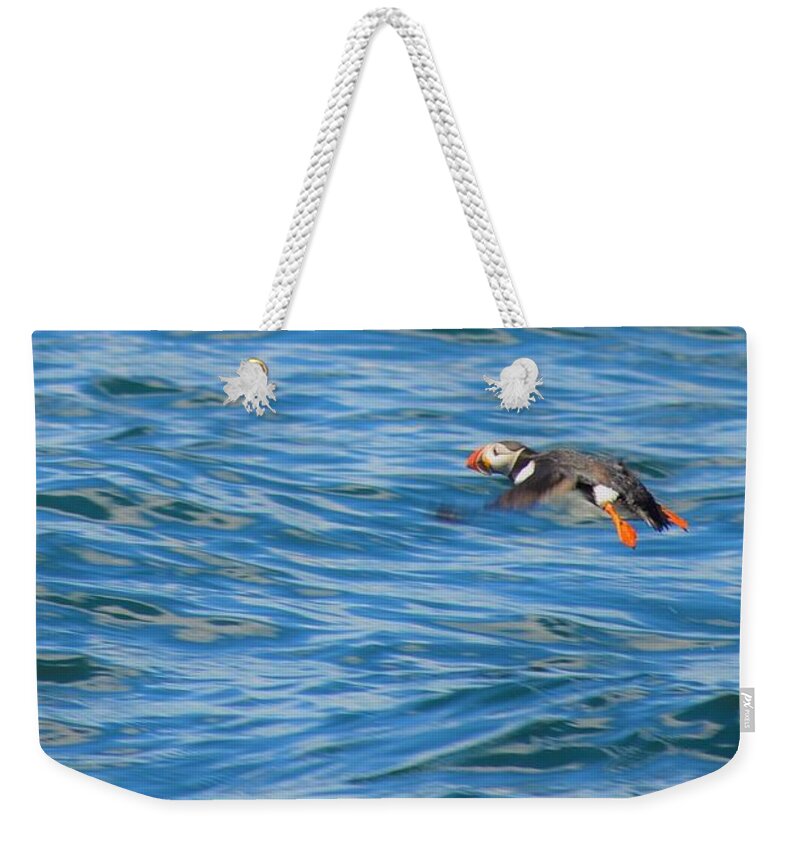 Puffin Weekender Tote Bag featuring the photograph Puffin #2 by Jewels Hamrick