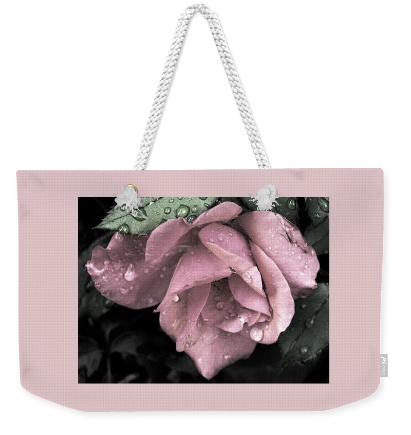 Mauve Roses Weekender Tote Bag featuring the photograph Raindrops On Roses #2 by Angela Davies