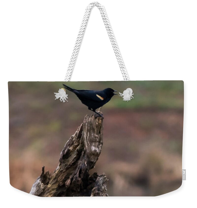 Jan Weekender Tote Bag featuring the photograph Red-Winged Blackbird by Holden The Moment