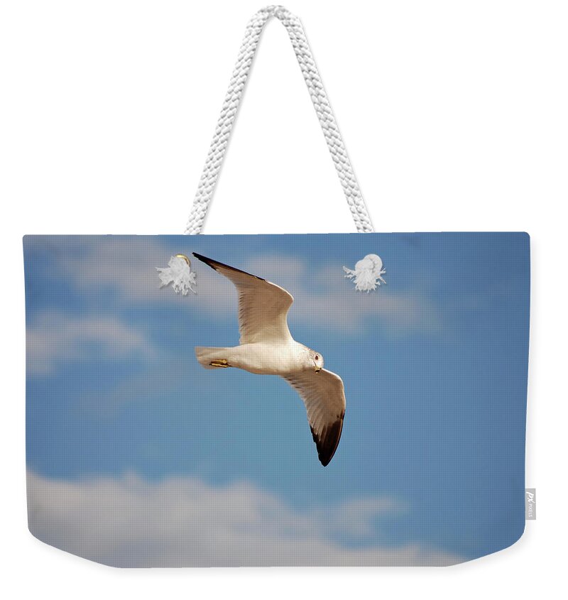 Seagulls Weekender Tote Bag featuring the photograph 2- Seagull by Joseph Keane