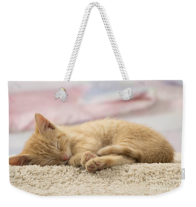 Cat Weekender Tote Bag featuring the photograph Sleeping Kitten #2 by Jean-Michel Labat
