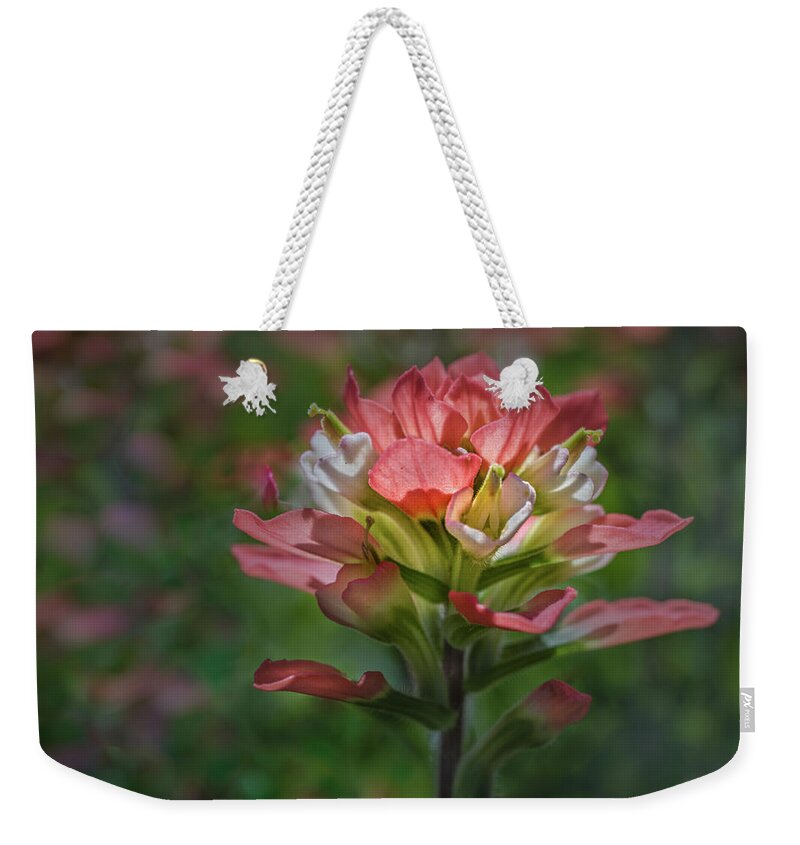 Indian Paint Brush Weekender Tote Bag featuring the photograph Spring Colors #3 by James Woody