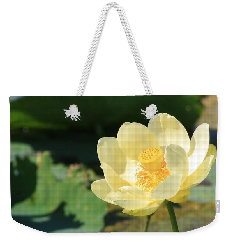 Flora Weekender Tote Bag featuring the photograph Standing Alone #7 by Bruce Bley