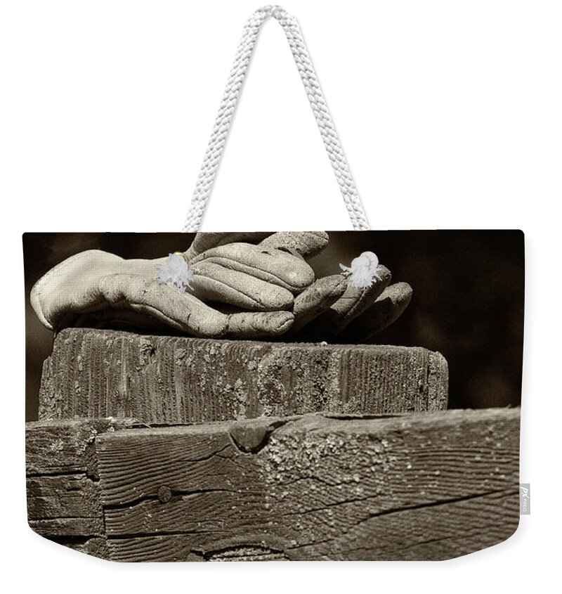 Black & White Weekender Tote Bag featuring the photograph Taking A Break #2 by Sandra Bronstein