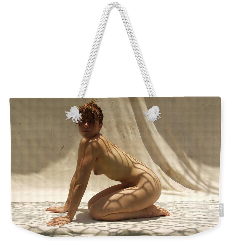  Weekender Tote Bag featuring the photograph The Net #2 by Lucky Cole