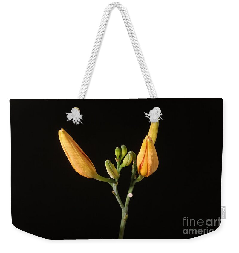 Flora Weekender Tote Bag featuring the photograph Tiger Lily Flower Opening Part #2 by Ted Kinsman