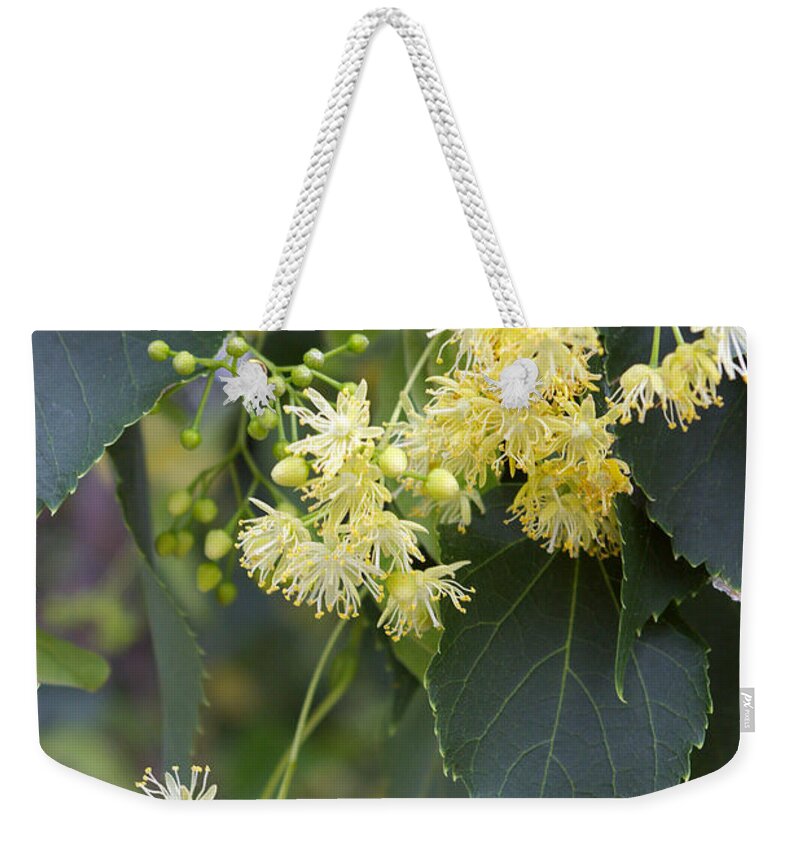 Linden Weekender Tote Bag featuring the photograph Tilia Cordata #2 by Scimat