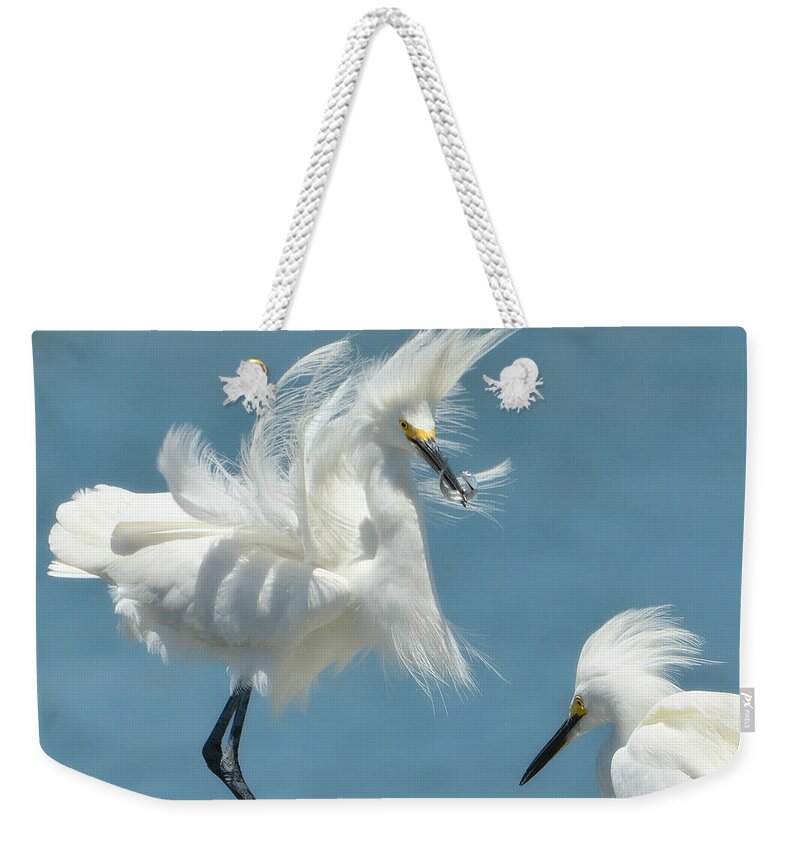 Snowy White Egrets Weekender Tote Bag featuring the photograph Triumphant #2 by Fraida Gutovich