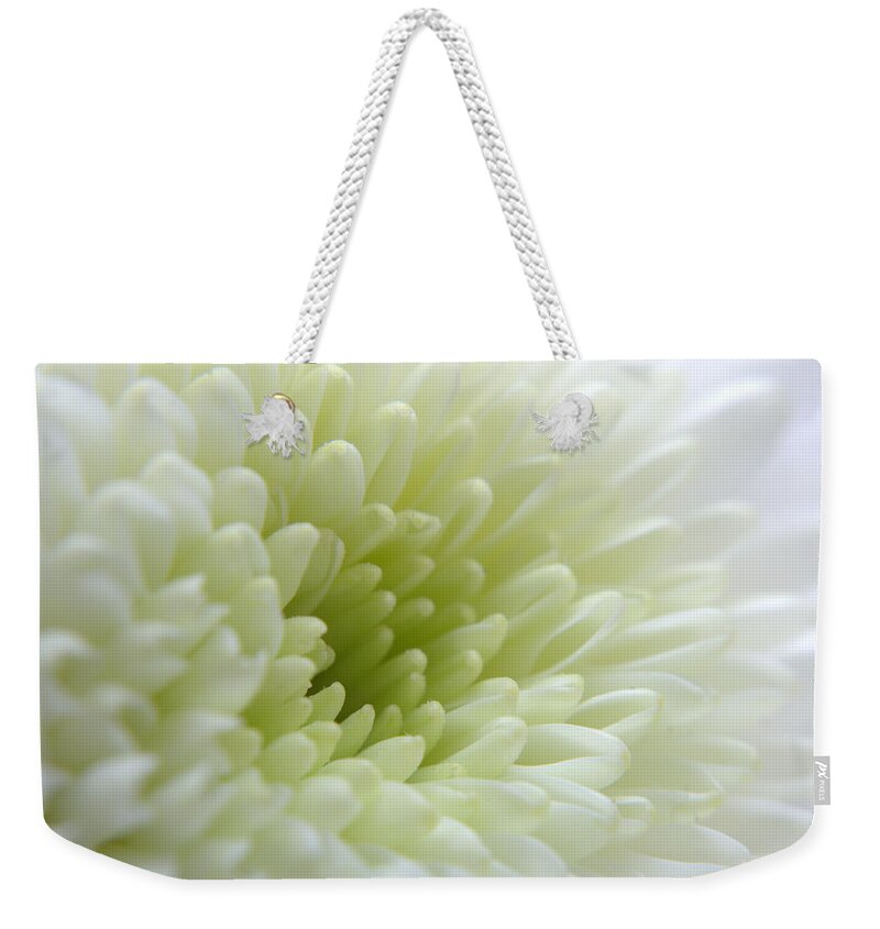 Chrysanthemum Weekender Tote Bag featuring the photograph White Chrysanthemum #2 by Chris Day