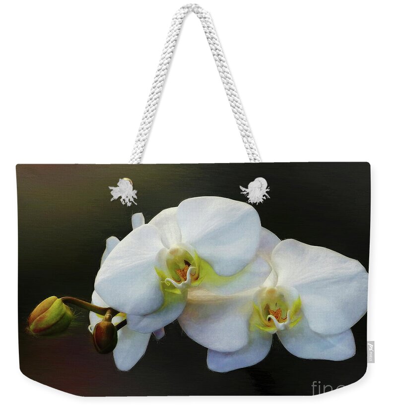 Doritaenopsis Orchid Weekender Tote Bag featuring the photograph White Orchid - Doritaenopsis Orchid #1 by Kaye Menner