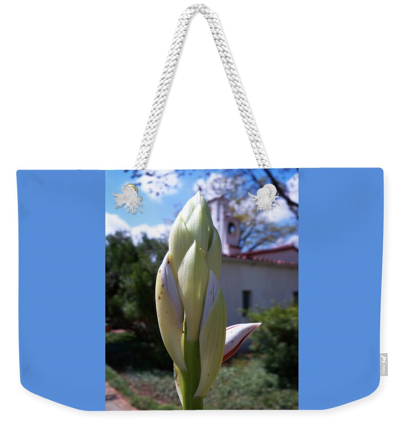 White Towers Weekender Tote Bag featuring the digital art 2 White Towers by Pamela Smale Williams
