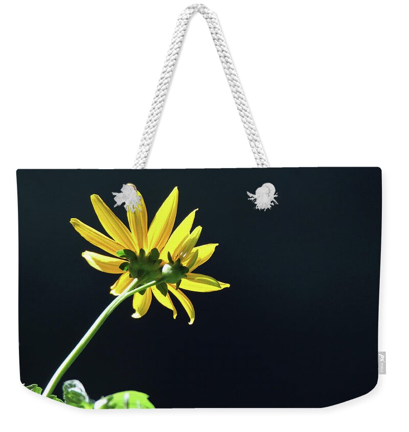 Wild Sunflowers Weekender Tote Bag featuring the photograph Wild Sunflower Stony Brook New York #2 by Bob Savage