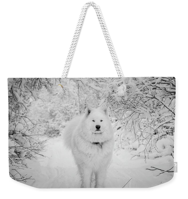 Samoyed Weekender Tote Bag featuring the photograph Winter Wonderland #2 by Valerie Pond
