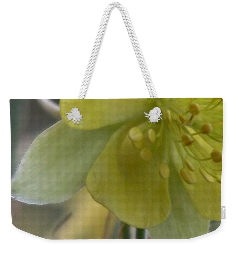 Yellow Weekender Tote Bag featuring the photograph Yellow Flower 4 #2 by Christy Garavetto