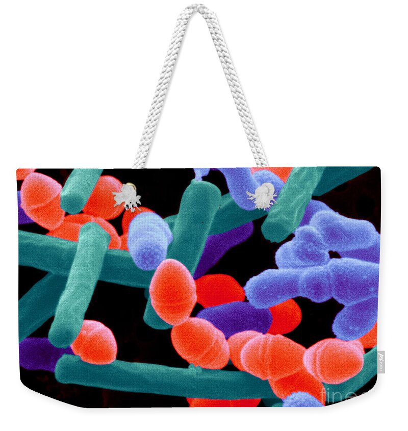 Yogurt Bacteria Weekender Tote Bag featuring the photograph Yogurt Bacteria #2 by Scimat