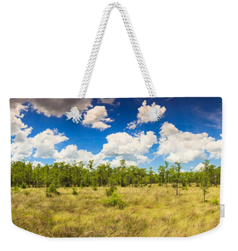Everglades Weekender Tote Bag featuring the photograph Florida Everglades #20 by Raul Rodriguez