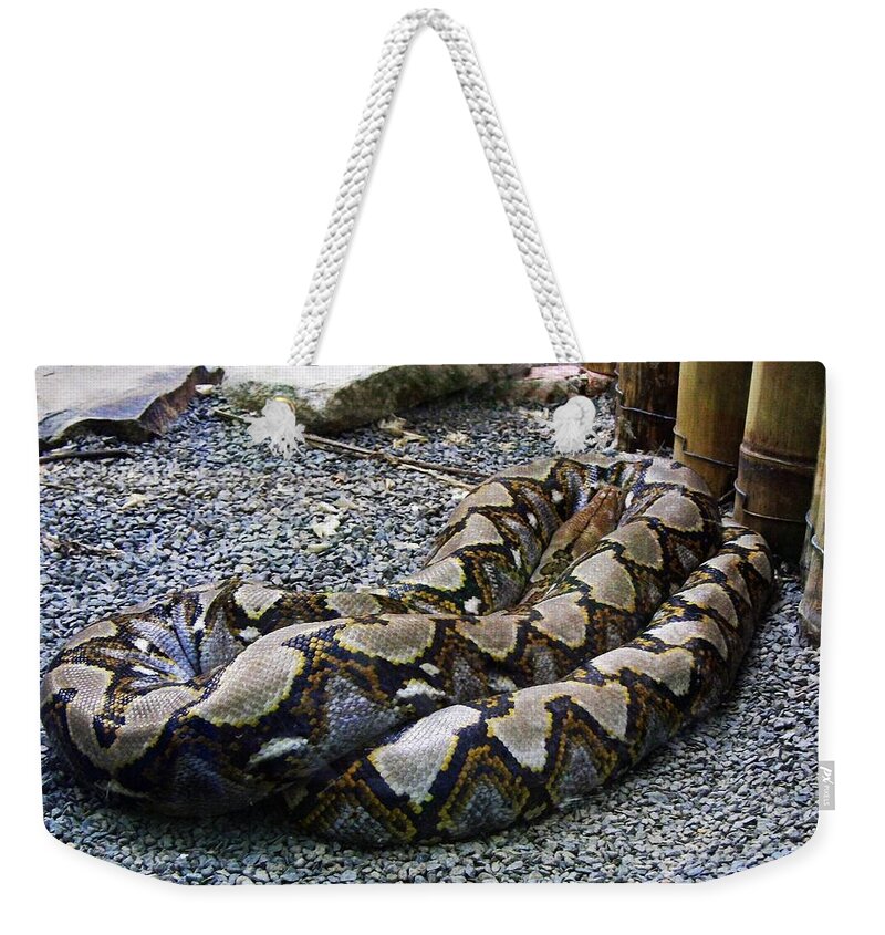 Snake Weekender Tote Bag featuring the photograph Snake #20 by Mariel Mcmeeking