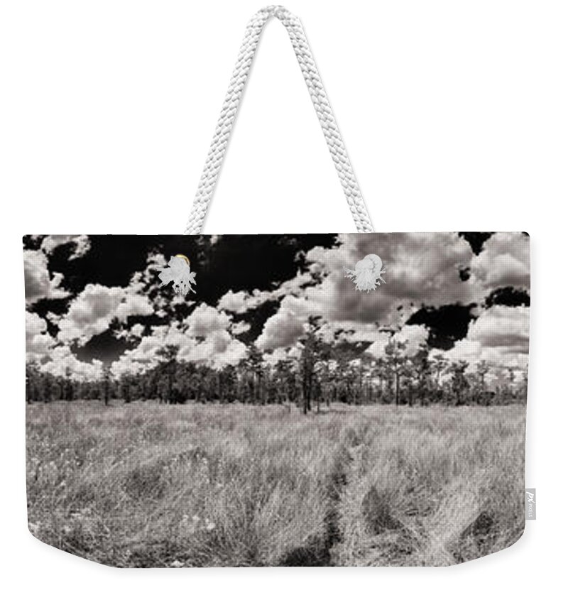 Everglades Weekender Tote Bag featuring the photograph Florida Everglades by Raul Rodriguez