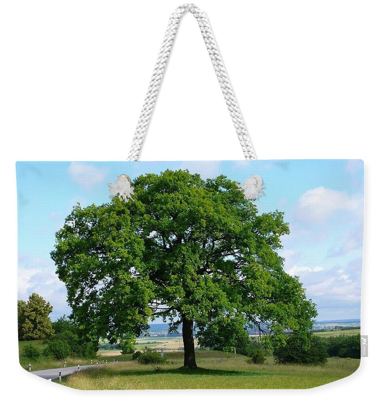 Tree Weekender Tote Bag featuring the photograph Tree #21 by Jackie Russo