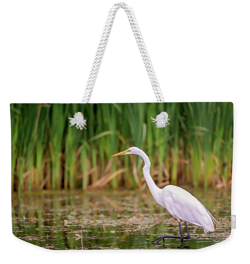 Animal Weekender Tote Bag featuring the photograph White, Great Egret #21 by Peter Lakomy