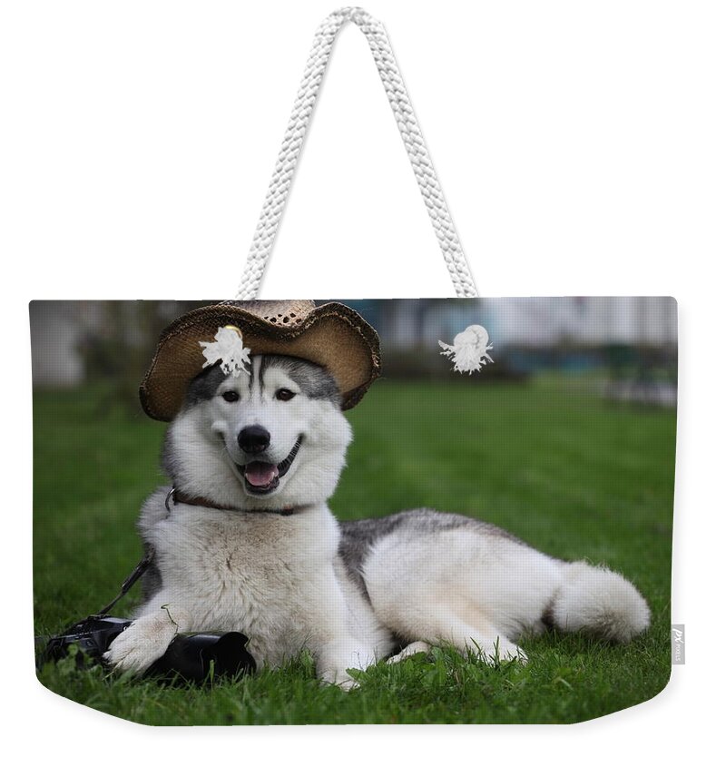 Dog Weekender Tote Bag featuring the photograph Dog #25 by Jackie Russo