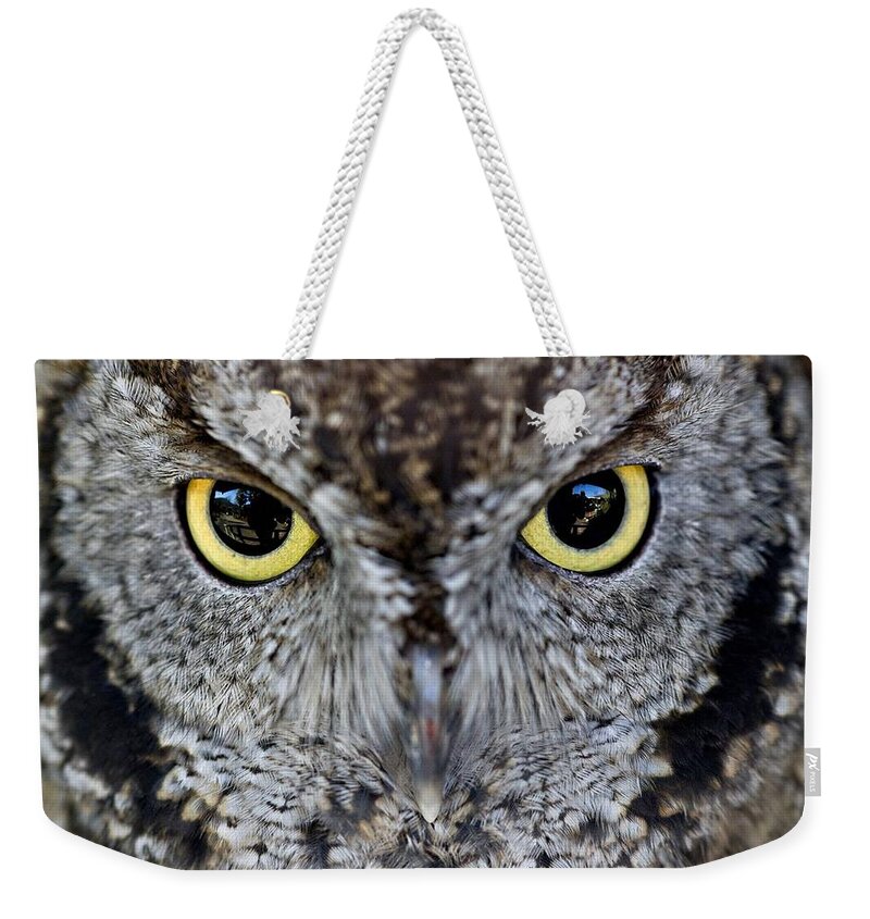 Owl Weekender Tote Bag featuring the photograph Owl #26 by Jackie Russo
