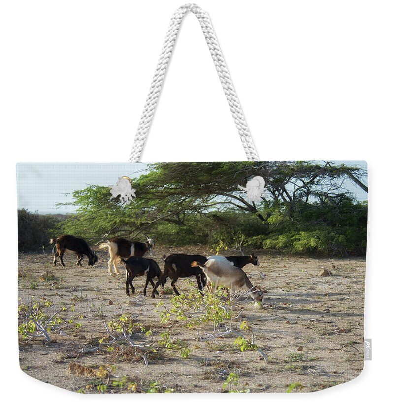 Animal Weekender Tote Bag featuring the digital art Colombia La Guajira Playa La Boquita #27 by Carol Ailles