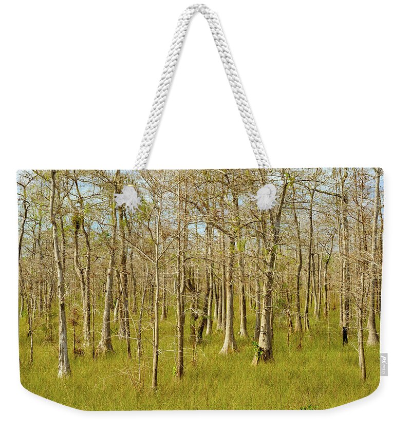 Big Cypress National Preserve Weekender Tote Bag featuring the photograph Florida Everglades by Raul Rodriguez