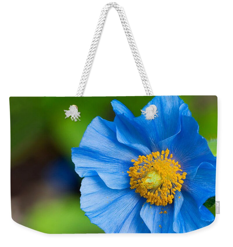Flower Weekender Tote Bag featuring the digital art Flower #29 by Maye Loeser