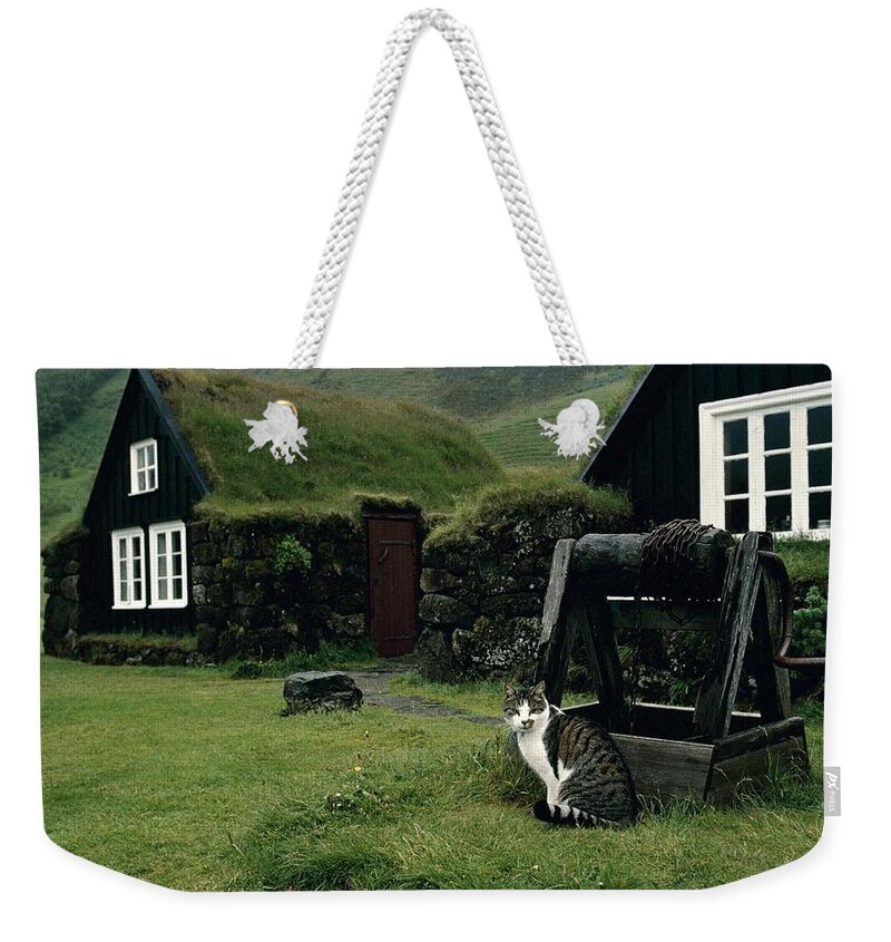 Cat Weekender Tote Bag featuring the photograph Cat #296 by Jackie Russo